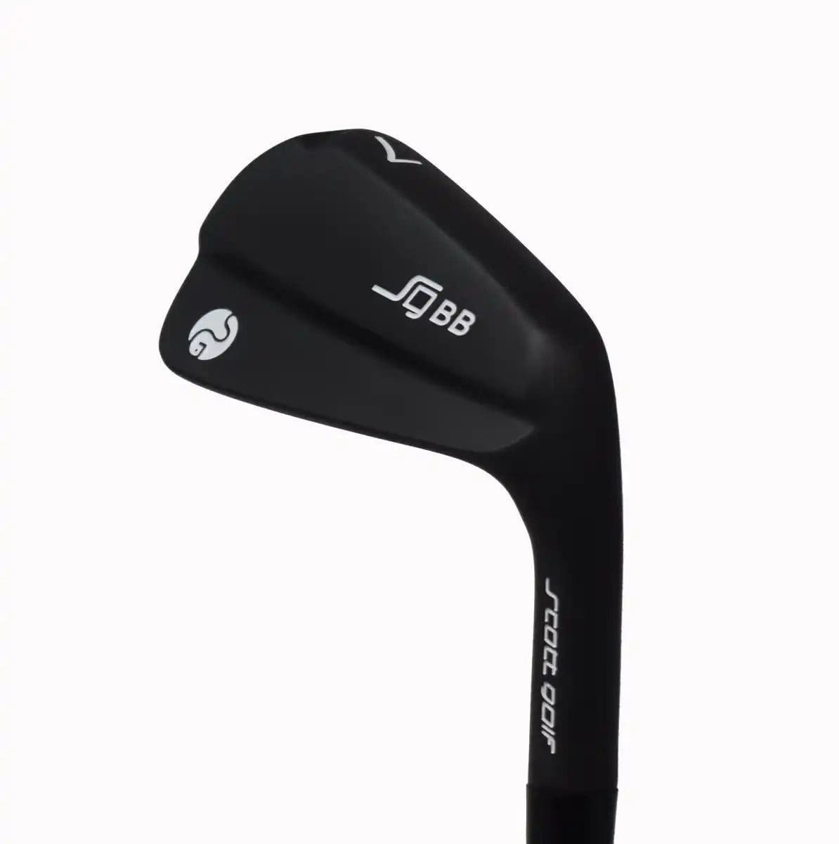 Sleek black golf club against white background.