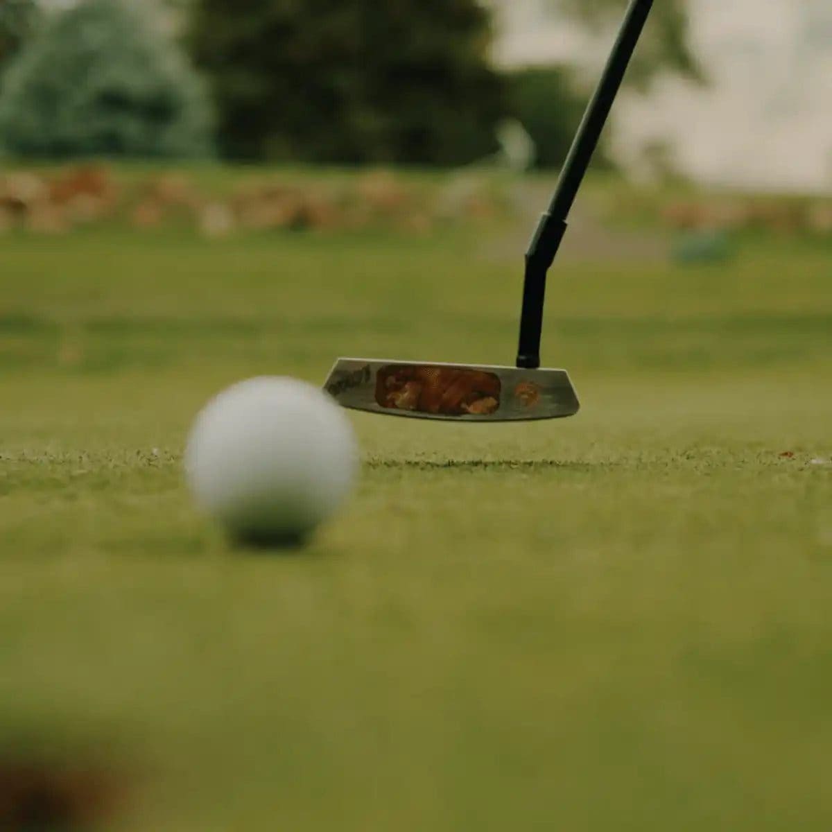 Golf ball and putter on course green